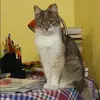 Отзыв от Арина Добрынина